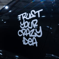 Trust your crazy idea (Decal)